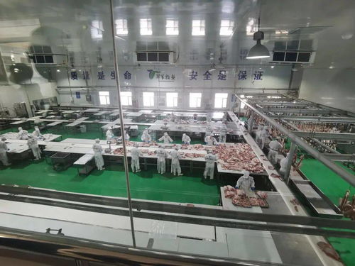 電子商務進牧區，郵政企業有話說
