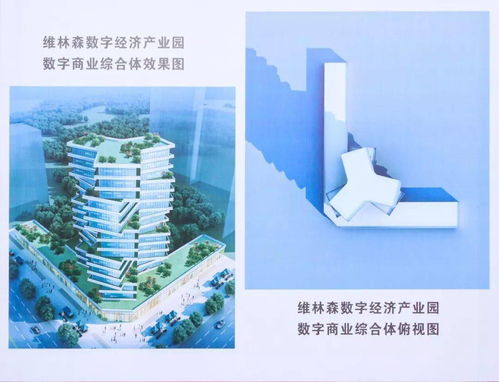 利好橋南、東海 新增商業體批前公示，即將開建