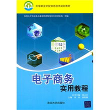 電子商務實用教程 信息技術與戰略實務的中職生指南